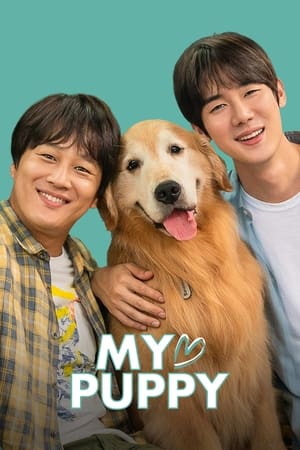 My love puppy (2022) Hindi Dual Audio HDRip 720p – 480p